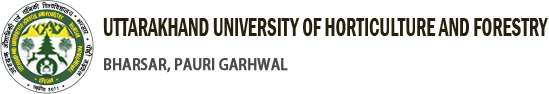 Uttar Pradesh University of Medical Sciences, Saifai Etawah, India